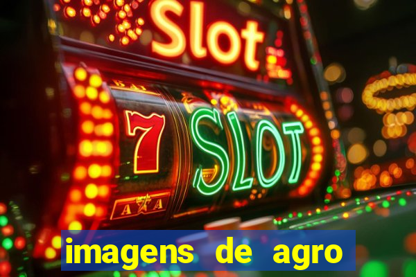 imagens de agro racoes guarani